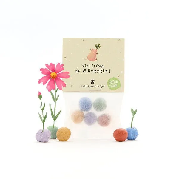 Die Stadtgärtner Die Stadtgärtner 5 bunte Blumenmurmeln im Tütchen mit Wildblumensaatgut | Für Prüfungen, Neuanfänge & Erfolgswünsche – Produktbild 1 von 4