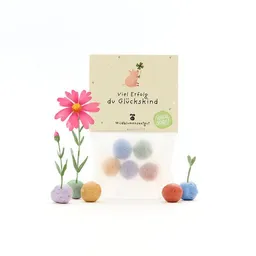 Die Stadtgärtner Die Stadtgärtner 5 bunte Blumenmurmeln im Tütchen mit Wildblumensaatgut | Für Prüfungen, Neuanfänge & Erfolgswünsche – Produktbild 1 von 1