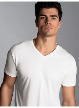 Trigema T-Shirt TRIGEMA V-Shirt aus 100% Lyocell (1-tlg) – Produktbild 1 von 1