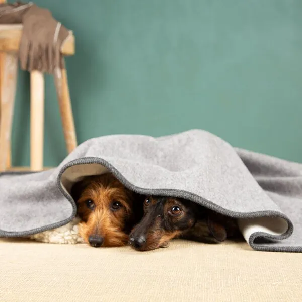 nahtur-design nahtur-design Hundedecke | 100% Schurwolle | natürliche Wärme, Grau_01, – Produktbild 3 von 4