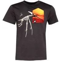 FÄDD Kinder T-Shirt Rundhals aus Bio-Baumwolle "Pteranodon BT" Grau Fädd – Produktbild 1 von 1