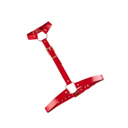 Kinky Diva Kinky Diva High Gloss Fashion Body Harness – Produktbild 1 von 1