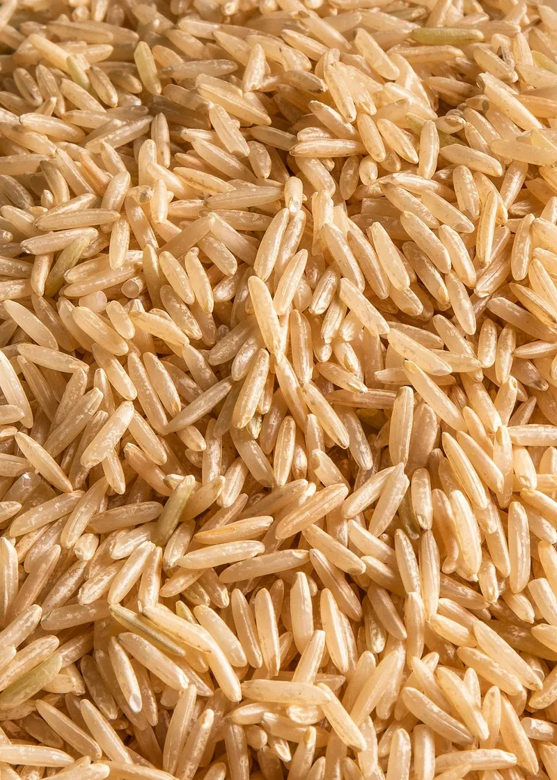 KoRo Brauner Bio Basmati Reis 5 kg – Produktbild 2 von 5