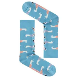 GreenBomb GREENBOMB Socken Dachshund – Produktbild 1 von 1