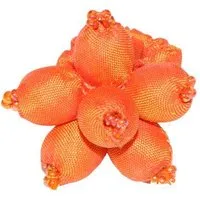 Schönes aus Indochina Schönes aus Indochina Seidenring, Orange, – Produktbild 1 von 1