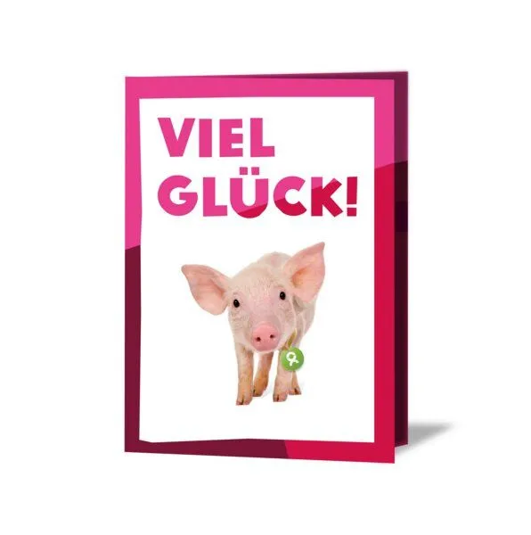 OxfamUnverpackt OxfamUnverpackt Spenden-Geschenk "Ferkel" (Grußkarte mit Magnet) – Produktbild 2 von 2