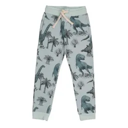 Walkiddy Walkiddy Kinder Jogger GOTS zertifiziert, 95% Bio-Baumwolle, grün, Dino-Muster „Dinosaurland“, weich & bequem – Produktbild 1 von 1