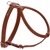 Hunter Hunter Geschirr Round & Soft Canadian Up cognac S – Produktbild 1 von 1