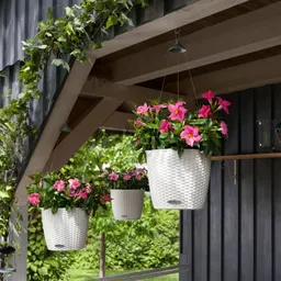 Lechuza® Lechuza® 'Nido Cottage 28', weiß, ca. Ø 27 x H 23 cm – Produktbild 1 von 1