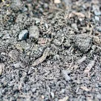 meinwoody meinwoody Terra Preta Konzentrat - Pflanzenerde – Produktbild 1 von 1