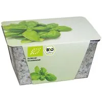 Bio Wachstums-Kästchen 'Basilikum' – Produktbild 1 von 1