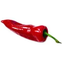 Deutschland Mini-Paprika, rot / orange / gelb – Produktbild 1 von 1