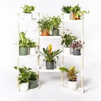CitySens CitySens Blumenregal mit 8 Ablagen und luftreinigenden Pflanzen., Weiss, – Produktbild 1 von 1