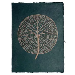 Veskor Cassiopeia Veskor Cassiopeia VICTORIA AMAZONICA Seerosenblatt Linoldruck | 37 x 50 cm | Kupfer auf Waldgrün – Produktbild 1 von 1