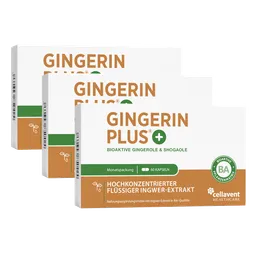 Cellavent Healthcare Bioaktiver Ingwer-Extrakt - Gingerin PLUS 3 Monate – Produktbild 1 von 1