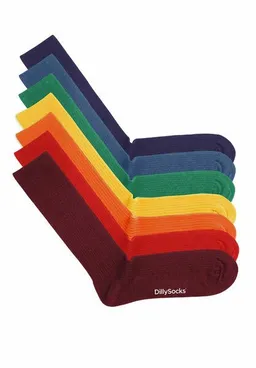 DillySocks DillySocks Socken „Ribbed Rainbow Collection“ – Produktbild 1 von 1