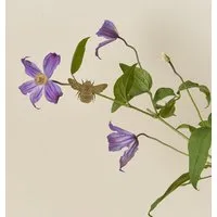 another studio another studio Plant Animal - Design Pflanzendekoration - Figuren aus Messing, Hummel, – Produktbild 1 von 1