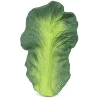 Oli & Carol Baby Greifling und Beißring Naturkautschuk Kendall the Kale Gr.1, Maße 14,5 x 8,5 x 2,7 cm, Grün, – Produktbild 1 von 1