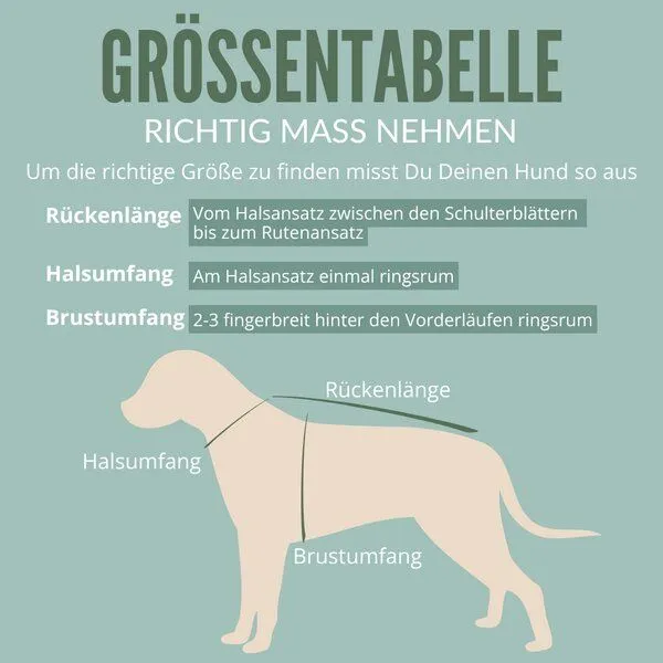 nahtur-design nahtur-design Hundemantel "Loden" | 100% Schurwolle, Curry_01 (gelb), – Produktbild 2 von 4