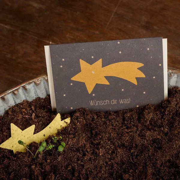 Die Stadtgärtner Die Stadtgärtner Grußkarte "Wünsch dir was" | Weihnachtskarte mit Saatgut – Produktbild 1 von 4