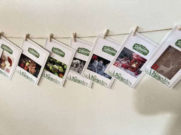 Saatgut Dillmann Saatgut Dillmann Adventskalender – Produktbild 3 von 4
