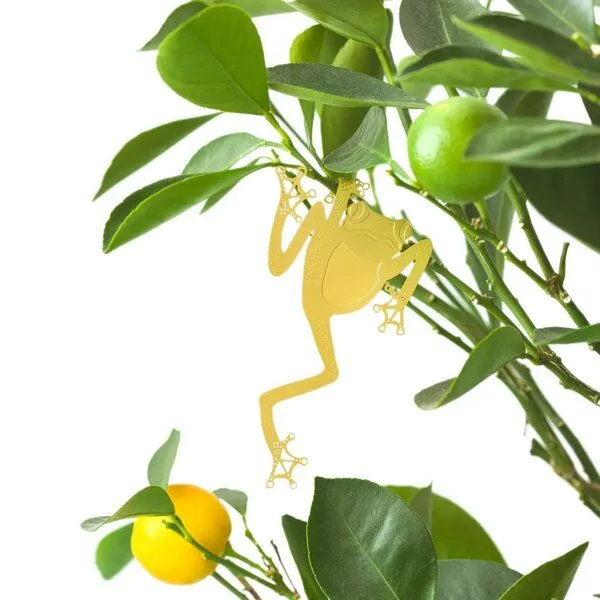 another studio another studio Plant Animal - Design Pflanzendekoration - Figuren aus Messing, Laubfrosch, – Produktbild 3 von 4