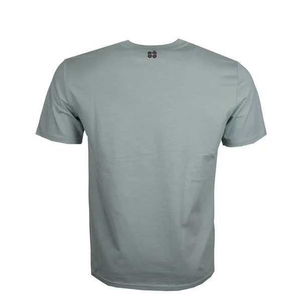 FÄDD FÄDD Herren T-Shirt Rundhals aus Bio-Baumwolle "HAUMBAUS BT", Aloe (grau), – Produktbild 3 von 4
