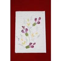 Schönes aus Indochina Schönes aus Indochina Set 4 Grusskarten aus handgeschöpftem Maulbeerbaumpapier – Produktbild 1 von 1