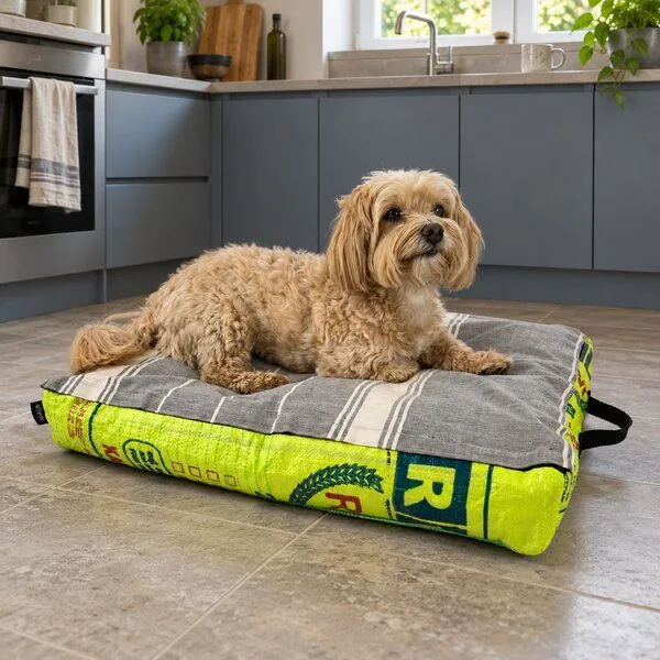 GOOPSI GOOPSI Hundebett mit BIO-Baumwollfüllung, Lemon, – Produktbild 6 von 6