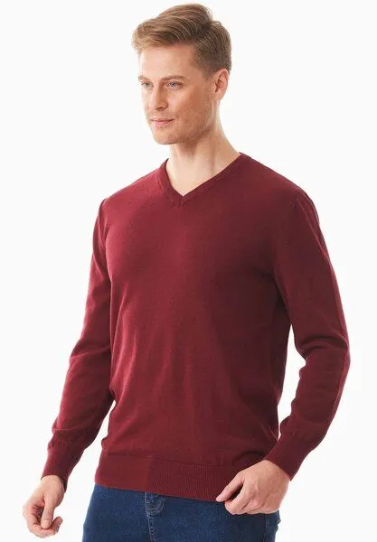 ORGANICATION ORGANICATION Pullover aus Bio-Baumwolle mit V-Ausschnitt, Syrah red, – Produktbild 4 von 4