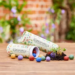 Die Stadtgärtner Die Stadtgärtner Blumenmurmeln das Original in der Dose I 25 handgemachte & kunterbunte Samenbomben mit Blumen-Saatgut I Geschenk Kinder & Kids I Mitgebsel Kindergeburtstag I 100% ökologisch & min. 2 J. haltbar – Produktbild 1 von 1