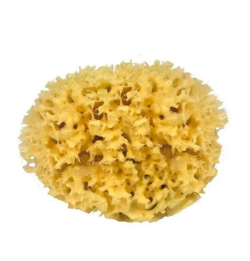 Croll & Denecke Croll & Denecke Naturschwamm Medium – Produktbild 2 von 4