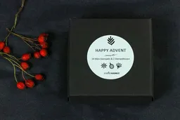 STUDIO KARAMELO STUDIO KARAMELO HAPPY ADVENT Weihnachts-Stempel Set mit Stempelkissen | gold +silber – Produktbild 1 von 1