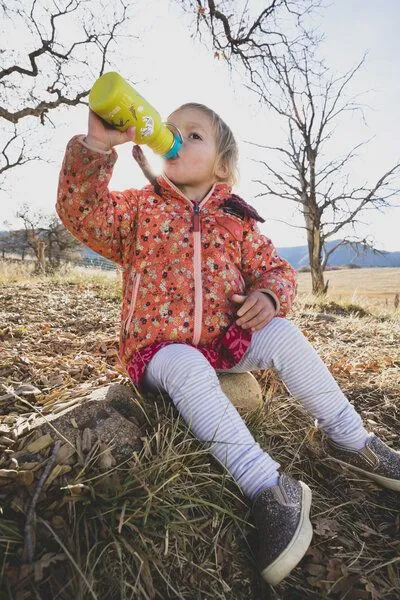 Klean Kanteen Klean Kanteen Kid Kanteen 355ml Sippy Cap, Dogs (hellgrün), – Produktbild 4 von 4