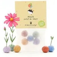 Die Stadtgärtner Die Stadtgärtner 5 bunte Blumenmurmeln mit Wildblumensaatgut im Tütchen | Geschenkidee und tolle Überraschung zum Geburtstag & Jubiläum – Produktbild 1 von 1