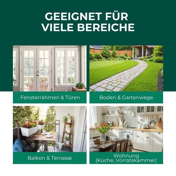 Silberkraft Silberkraft Anti Ameisen Spray – Produktbild 3 von 4