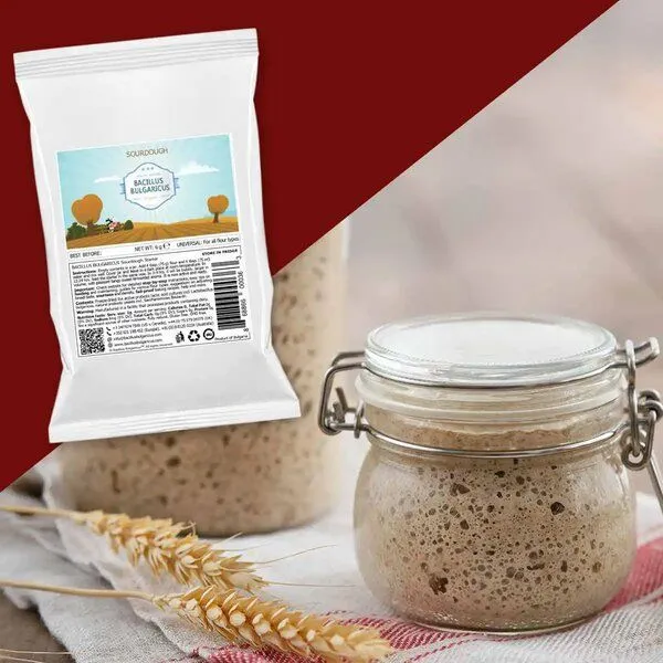 Bacillus Bulgaricus Sauerteig-Starterkultur für echten Sauerteig (2er-Pack) – Produktbild 2 von 4