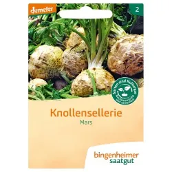 Bingenheimer Saatgut Knollensellerie Mars – Produktbild 1 von 1