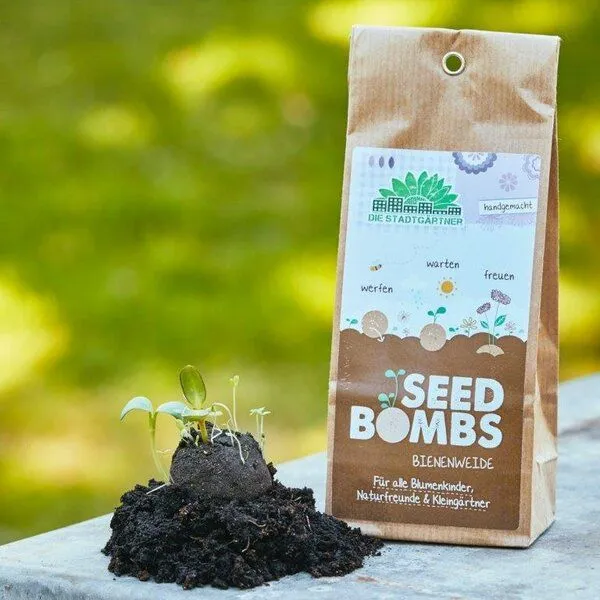 Die Stadtgärtner Die Stadtgärtner Set mit 4 Sorten Samenbomen | Tolles Geschenk für Gartenliehaber:innen – Produktbild 3 von 4