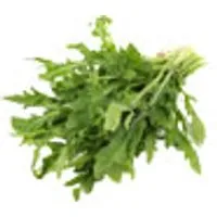 Italien Rucola (Schale) – Produktbild 1 von 1