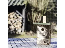 Wildlife Nistkasten CJ Wildlife Nisthöhle Birkenholz grün LxBxH – Produktbild 1 von 1