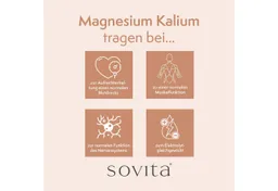 Ascopharm Ascopharm Magnesium Kalium Kapseln, 120 Stk. mit 400 mg Magnesium 1, 1 er – Produktbild 1 von 1