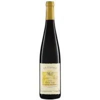 Riegel Pinot Noir Alsace Stentz AOP 2019 – Produktbild 1 von 1
