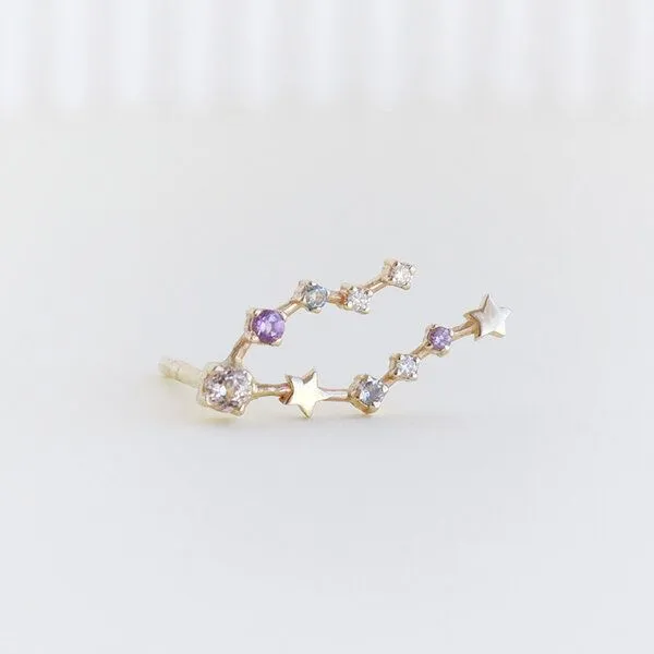 Eppi Eppi Ohrringe mit Sternzeichen Pisces, Gold, – Produktbild 1 von 3