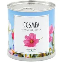 MacFlowers MacFlowers Blumengrüße - Echte Schmuckkörbchen - Cosmea Mix in der Dose – Produktbild 1 von 1