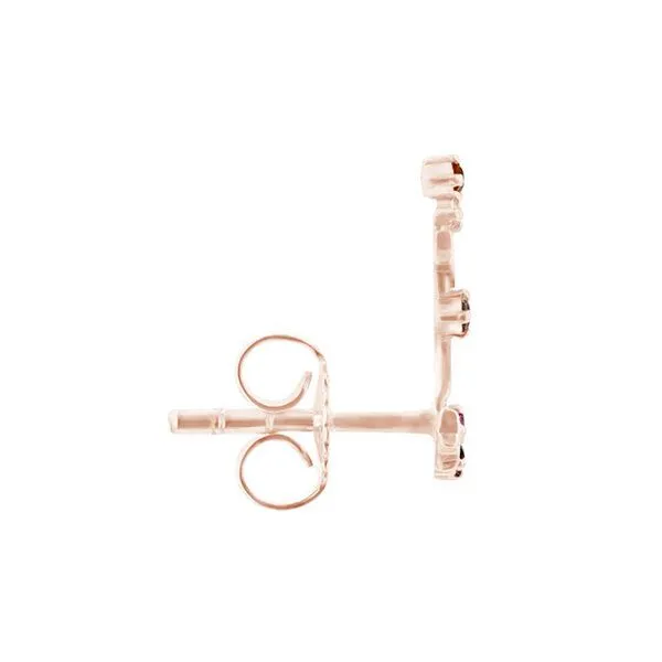 Eppi Eppi Ohrringe mit Sternzeichen Capricorn, Rosé, – Produktbild 3 von 4