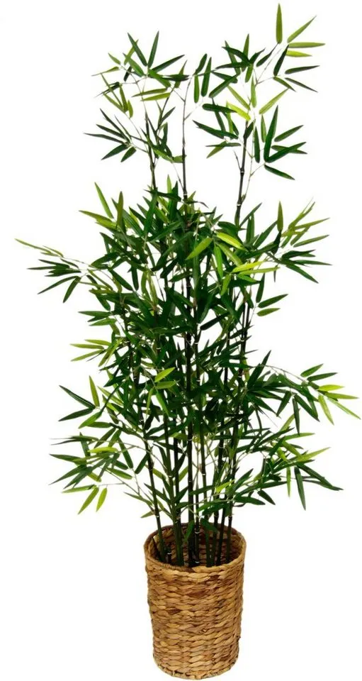 Kunstpflanze Bambus Bambus, I.GE.A., Höhe 120 cm, Grün, – Produktbild 1 von 1