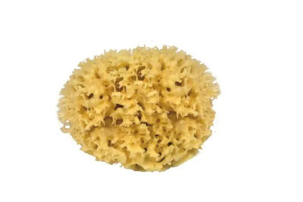 Croll & Denecke Croll & Denecke Naturschwamm in 3 Größen – Produktbild 1 von 1