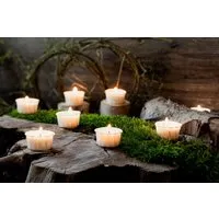 Wenzel Kerzen Wenzel Kerzen Wenzel Light One Papier Teelichter 12 Stück – Produktbild 1 von 1