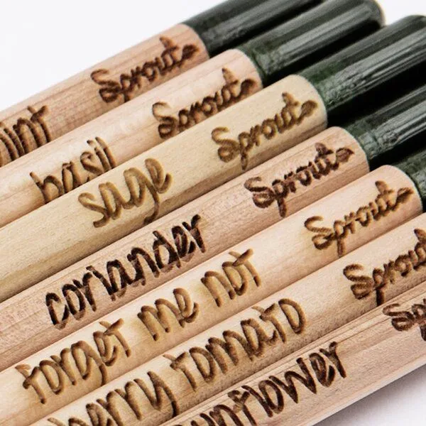 Sprout Sprout 7 Blei- und Buntstifte zum Einpflanzen – Produktbild 1 von 4